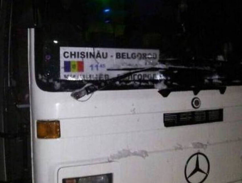 Автобус с молдаванами попал в снежный плен на Полтавщине 