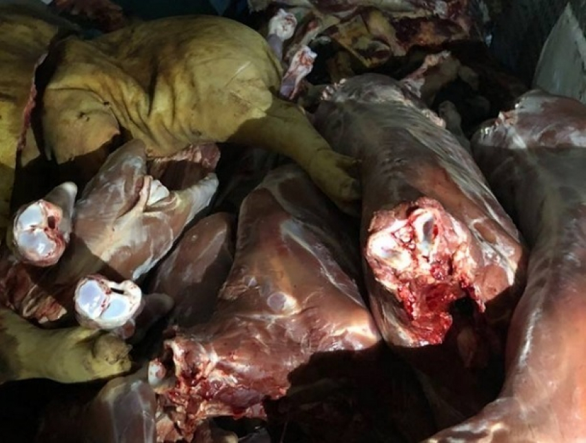 Опасные рыбу и мясо попытались продать на Центральном рынке Кишинева