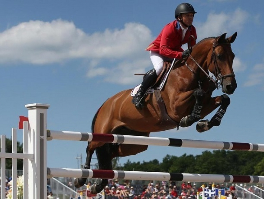 Молдова и Россия будут вместе развивать конный спорт