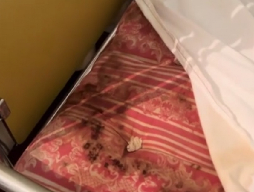 9 миллионов на ремонт: что будет с Ниспоренской больницей после скандального видео с грязными матрасами и тараканами