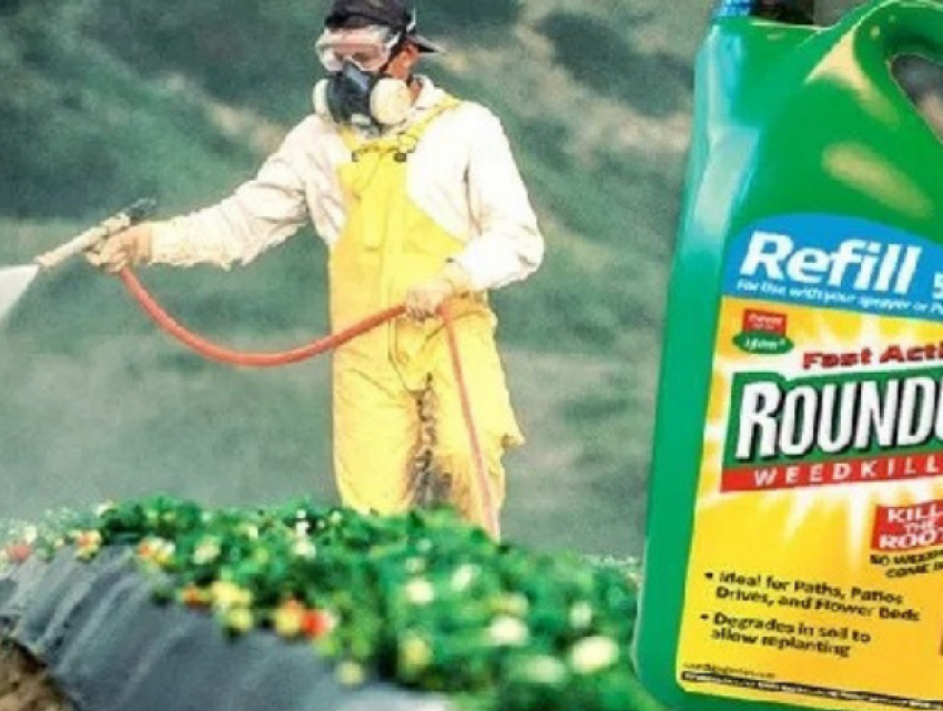 Популярный в Молдове химикат Rоundup вызывает рак