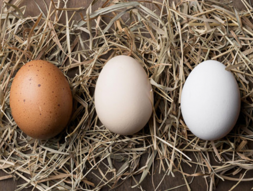 В Молдове одни из самых дешевых яиц в Европе, самые дорогие – в Швейцарии