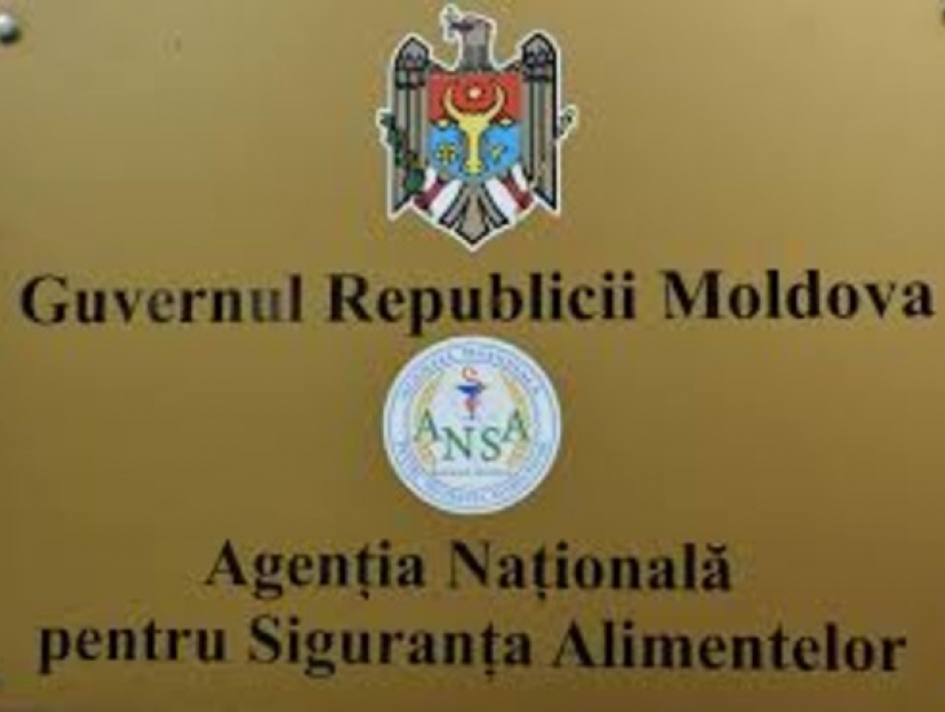 В Молдове запретят импорт и экспорт собачьих и кошачьих шкур