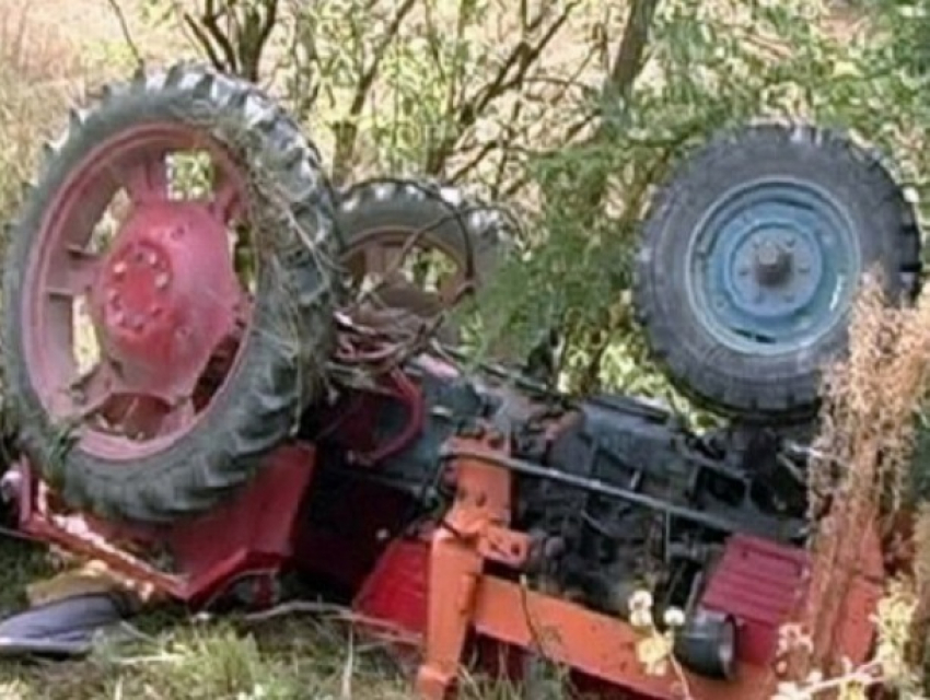 Трактор раздавил водителя в Сынжерейском районе