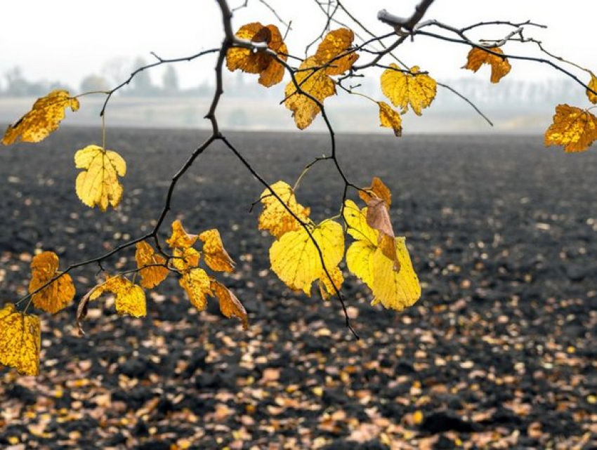 В субботу в Молдове ожидается переменная облачность и до 13 градусов тепла 