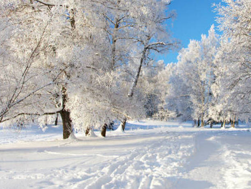 Воскресенье порадует жителей Молдовы великолепным морозным днем 