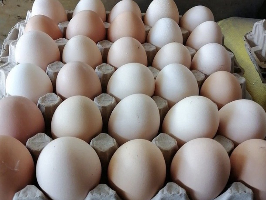 Яйца в Кишиневе подорожали почти до 50 леев за десяток