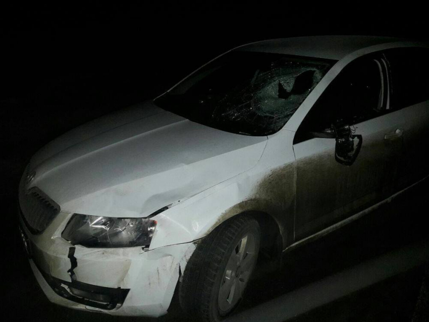 Пожилой мужчина погиб под колесами автомобиля на трассе Кишинев-Оргеев