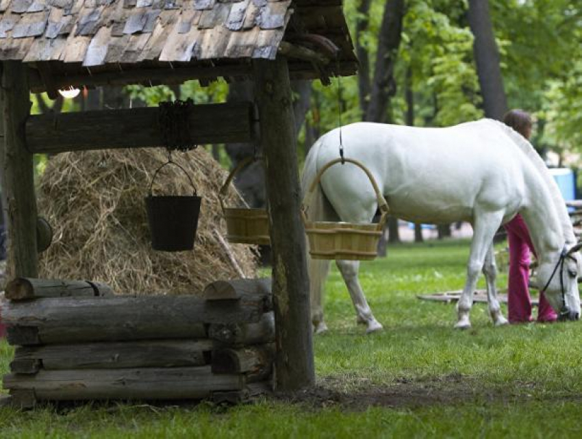 В Молдове вода не пригодна к употреблению в 80% колодцев