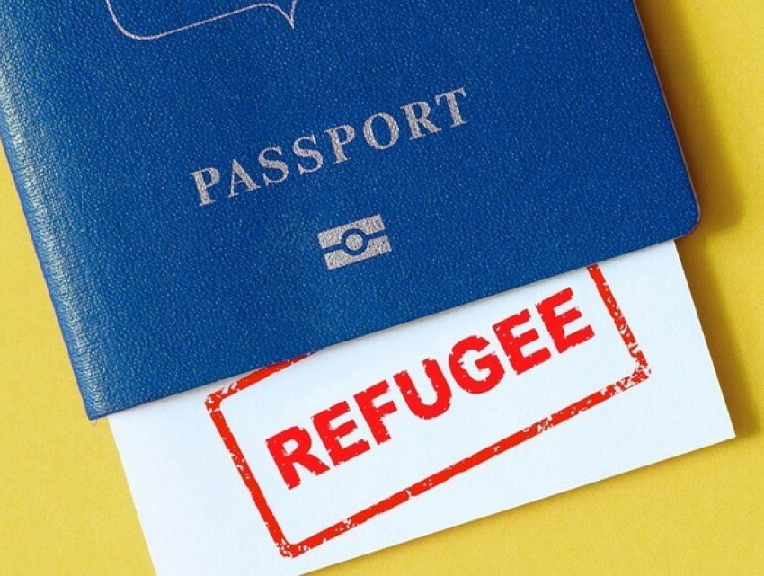 В Молдове запустят программу по трудоустройству украинских беженок