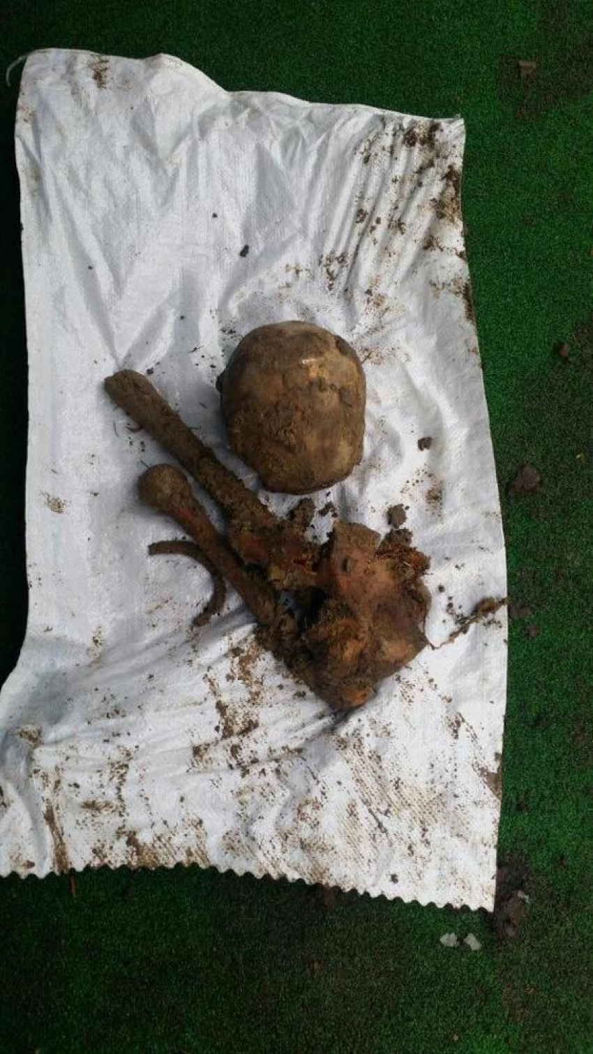 Во дворе дома Илана Шора найдены человеческие останки 