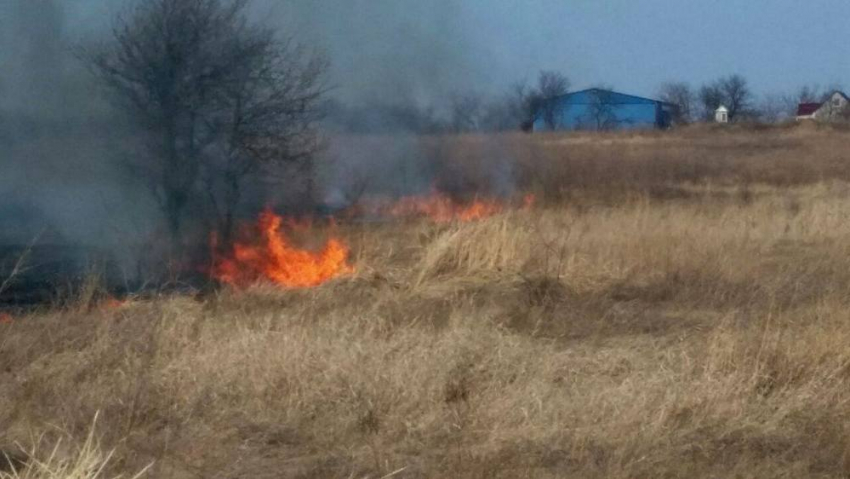 За последние сутки в Молдове сгорели 127 гектаров растительности