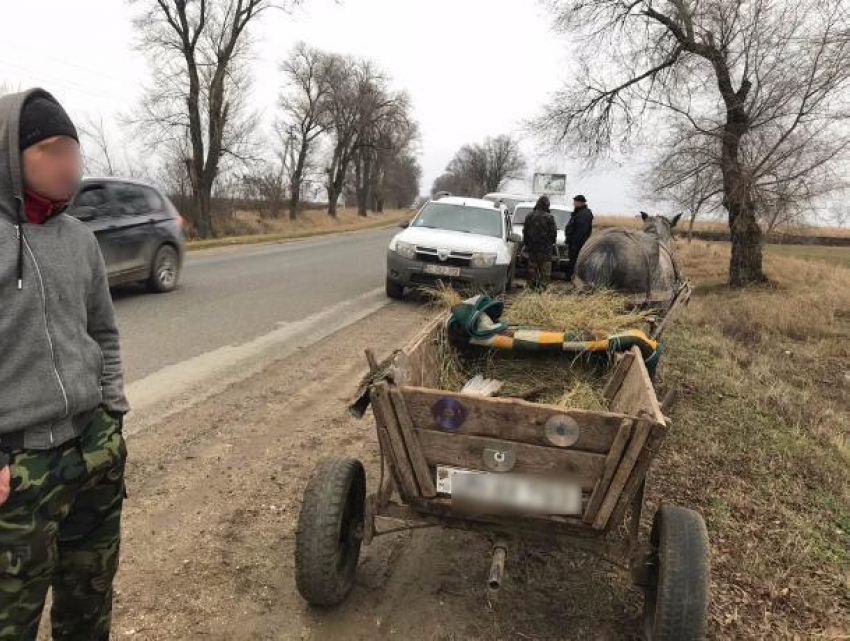 Молодого браконьера задержали с тушками оленя и фазана на границе Молдовы и Румынии