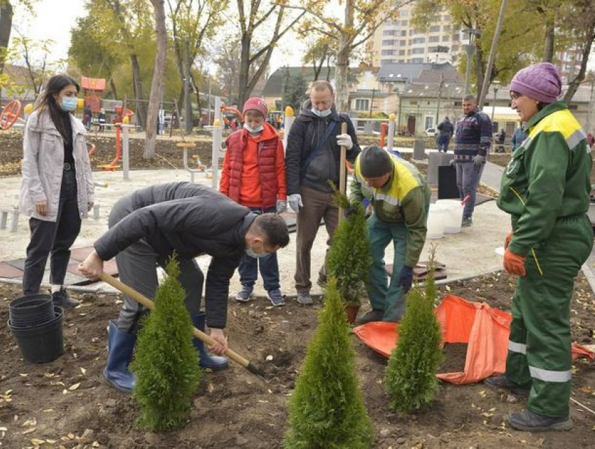 Сквер на улице Заикина в Кишиневе украсят особенные деревья и кустарники  