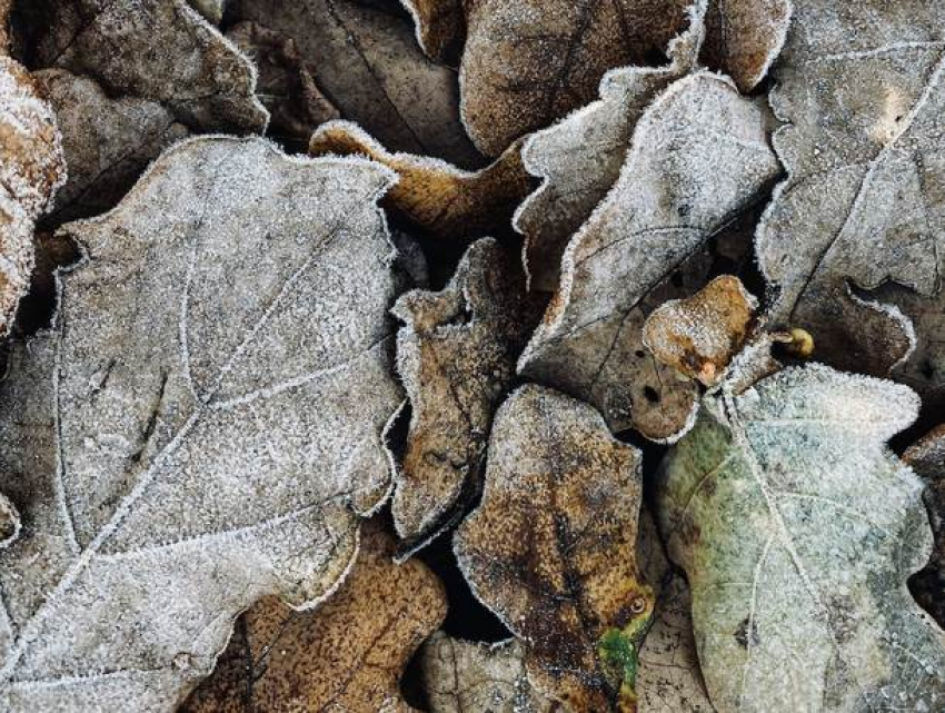 В среду в Молдове ожидается до 10 градусов мороза 