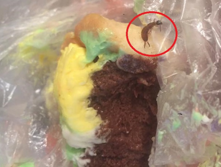 Жуткое содержимое обнаружила в пирожном от популярного хлебокомбината жительница Кишинева