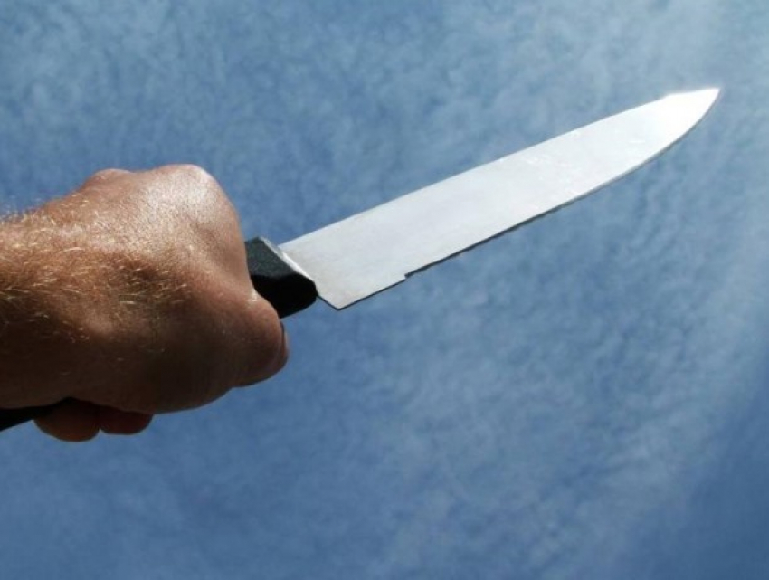 «Один мясник, другой молдаванин» – «сладкая парочка» забила собутыльника