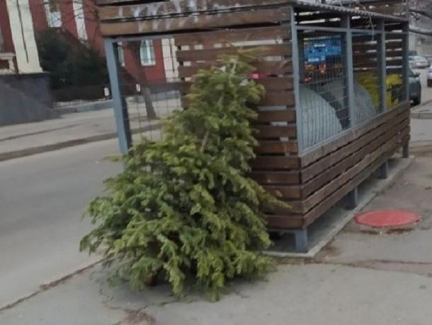 Майя Санду просит примаров наряжать красивые елочки