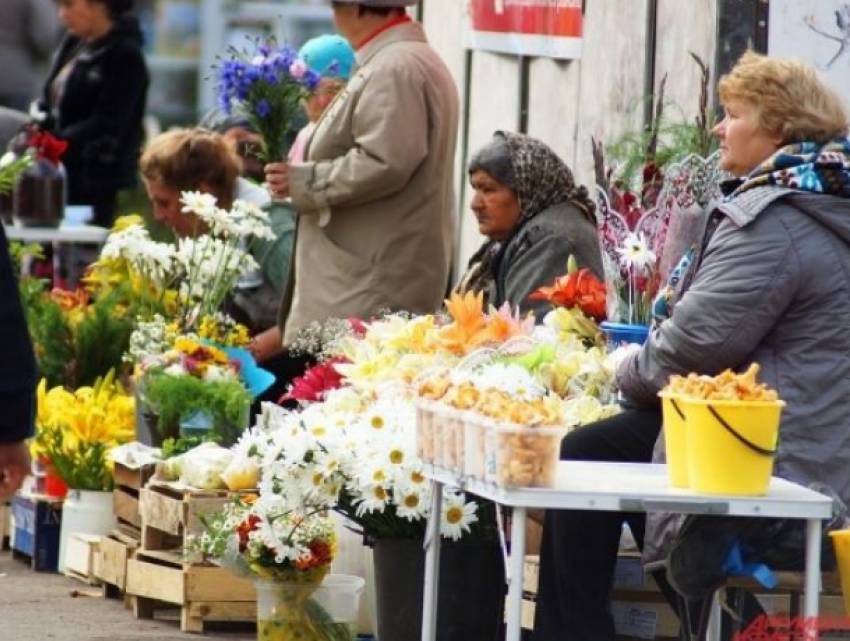 Пенсионеры продают полевые цветы, чтобы оплатить коммунальные услуги