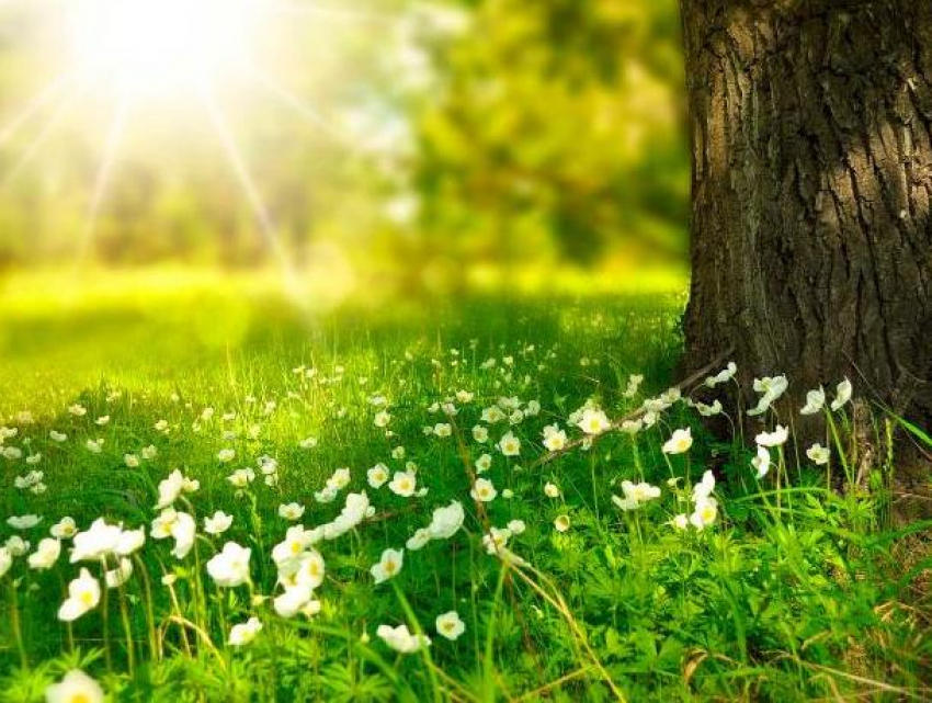 Во вторник погода в Молдове начнет налаживаться 