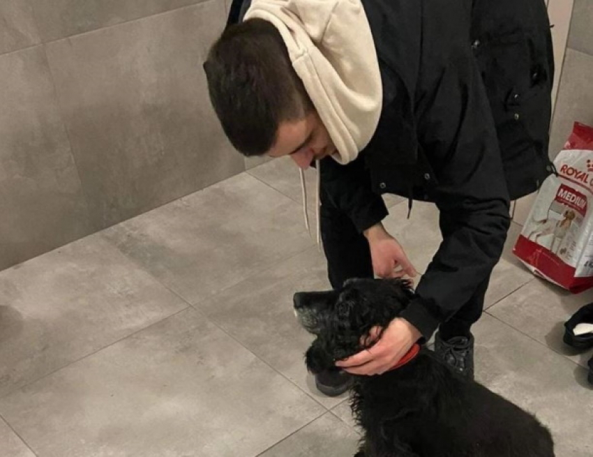 Собака вернулась через 4 года к хозяину после того, как ее украли