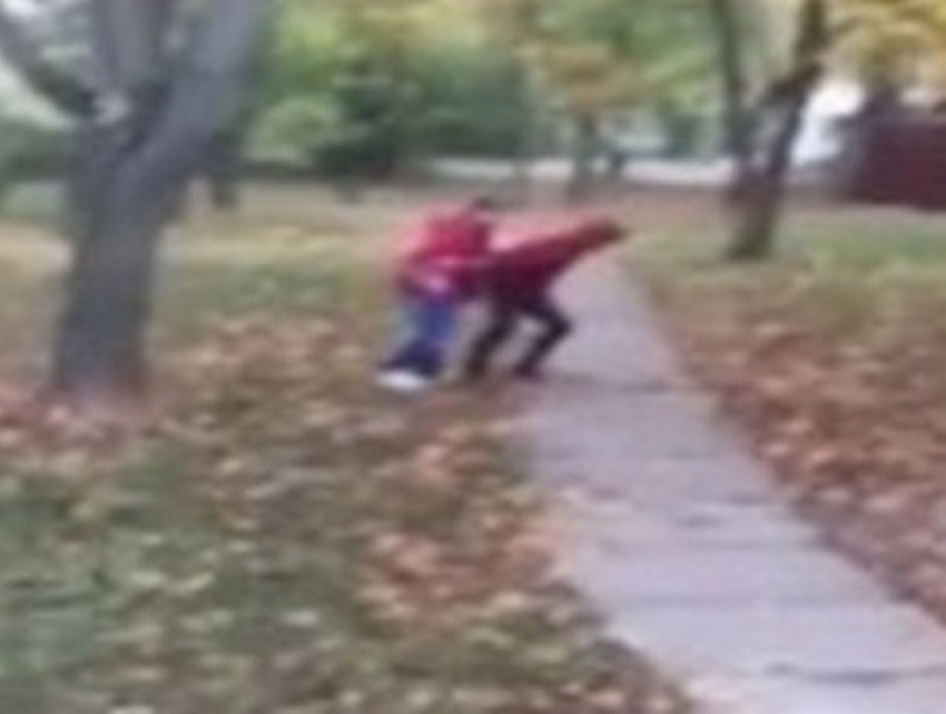 Задержание грабителя женщин на Рышкановке сняли на видео