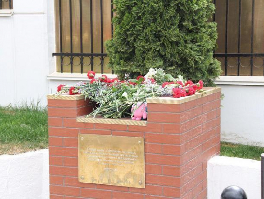 «По зову души»: социалисты почтили память жертв катастрофы в «Шереметьево» 