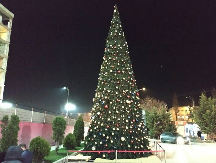 Первую новогоднюю елку установили в Кишиневе
