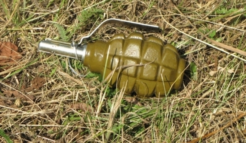 В Комрате на берегу водоёма подросток нашел боевые гранаты