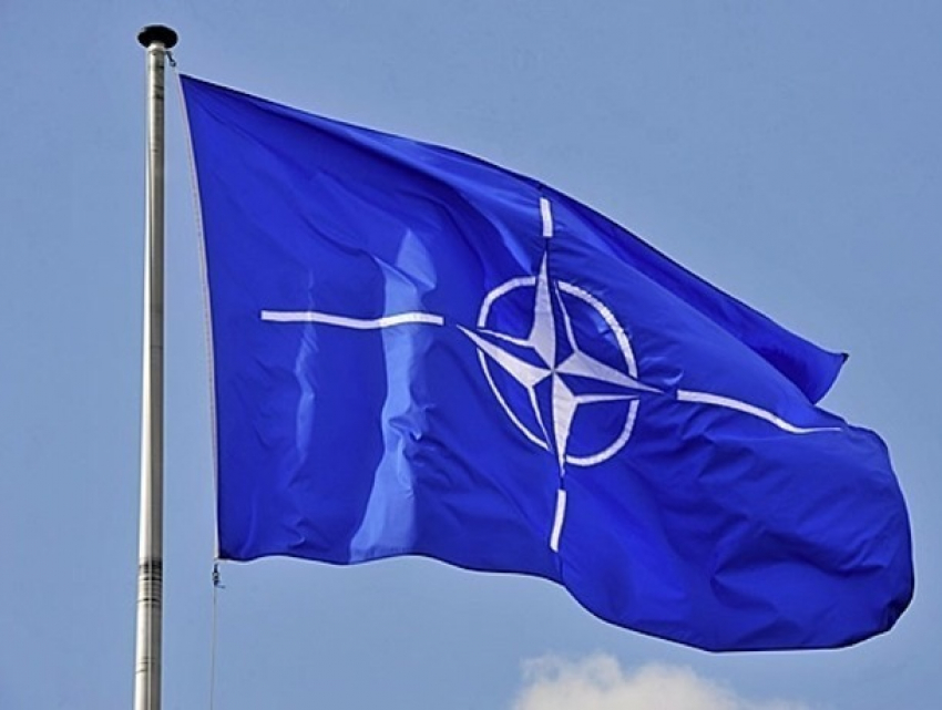 НАТО пошло против мнения президента и назначило руководителя своего офиса в Молдове 