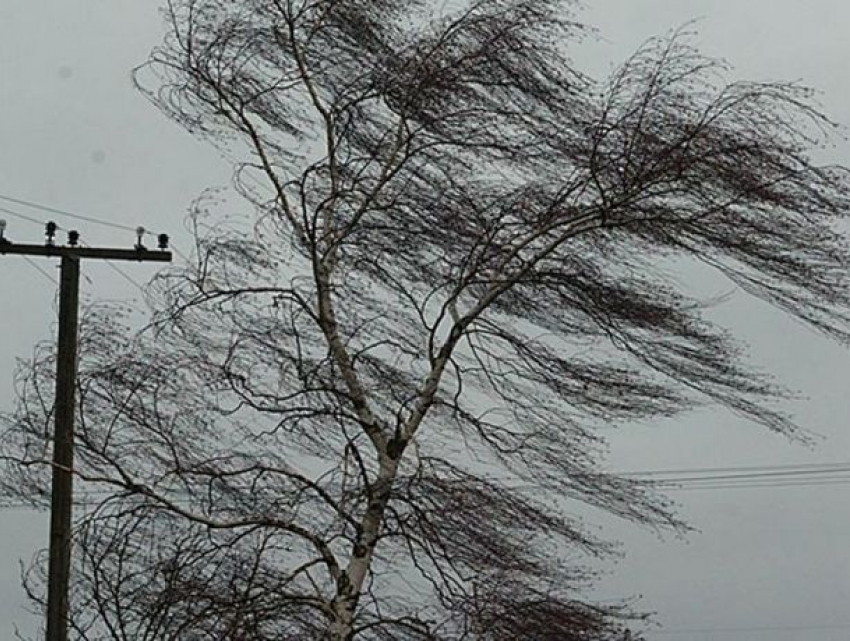 Во вторник на Молдову обрушится похолодание и штормовой ветер 
