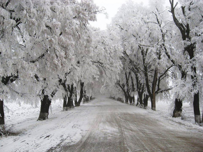 Жители Молдовы в восторге от первого серьезного снегопада