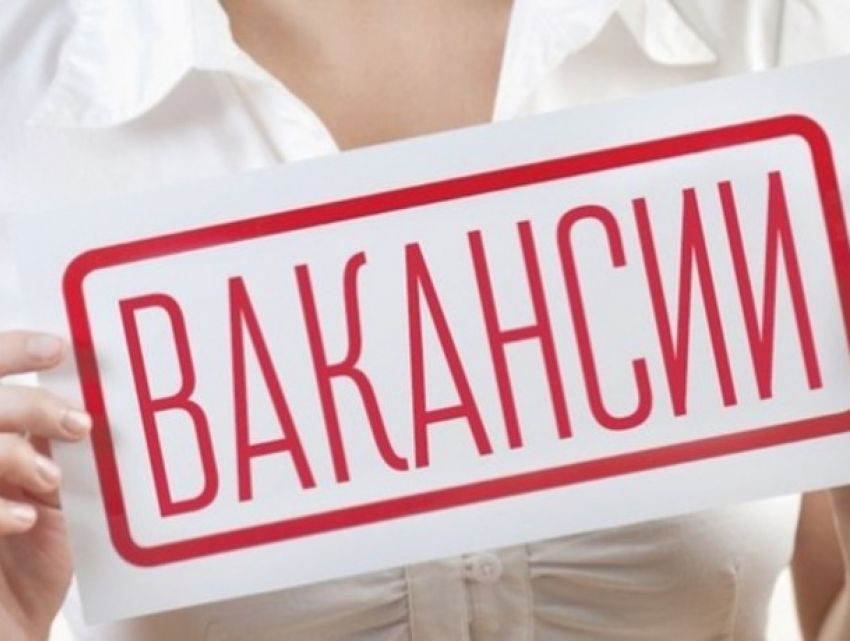 В Молдове наблюдается рекордный рост вакансий