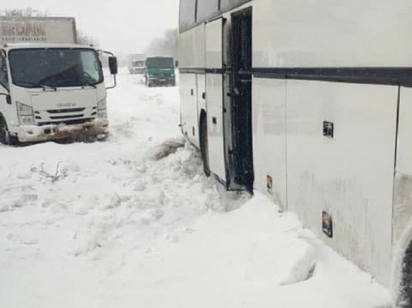Застрявшие на Украине в снежном плену автобусы освобождены, людей спасли