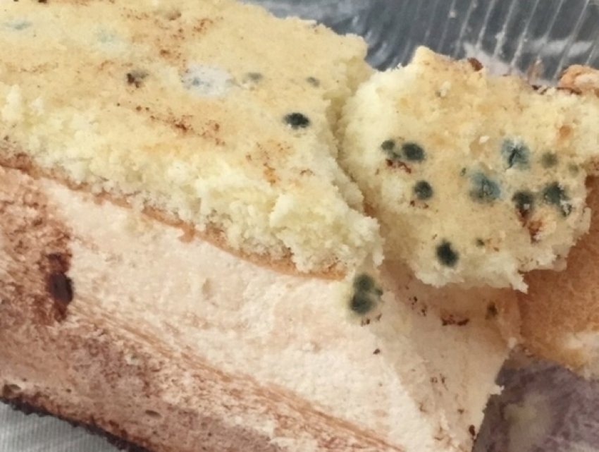 Отвратительный сюрприз обнаружил в купленном торте житель Кишинева
