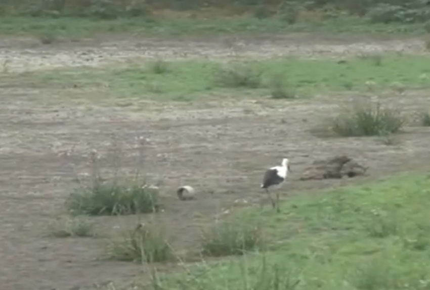 Из-за пересыхания притока Днестра два района Молдовы остались без воды