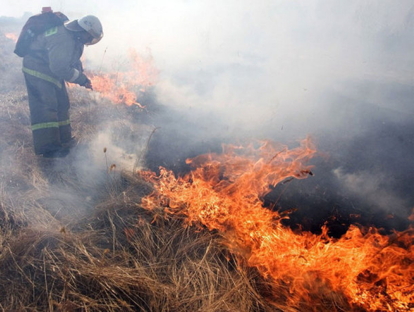 Более 70 гектаров земель в Молдове оказались охвачены пламенем 