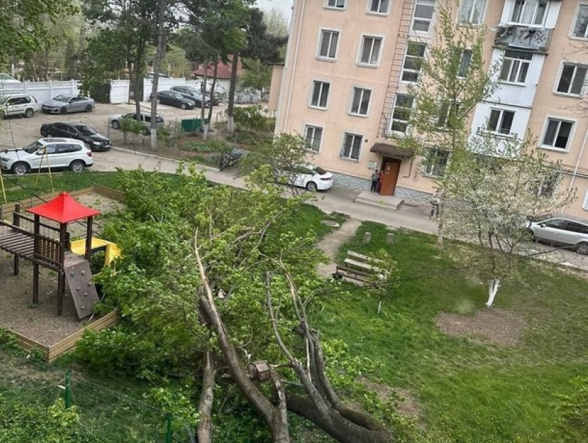 В Молдове оранжевый код из-за сильнейшего ветра