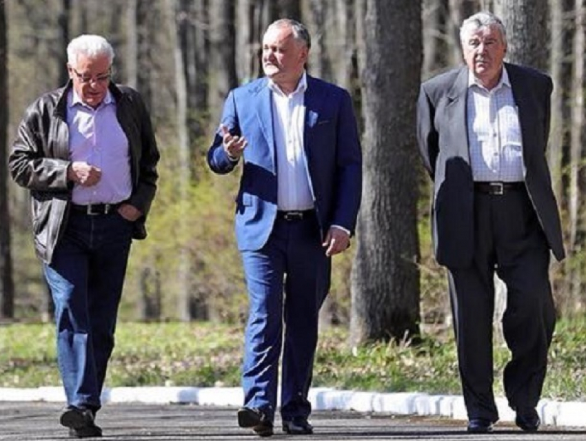 Додон, Снегур и Лучинский обсудили в лесопарке потери и достижения Молдовы