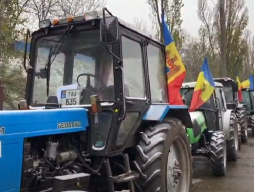 Богдан Цырдя раскрыл истинную подоплеку «протестов фермеров»