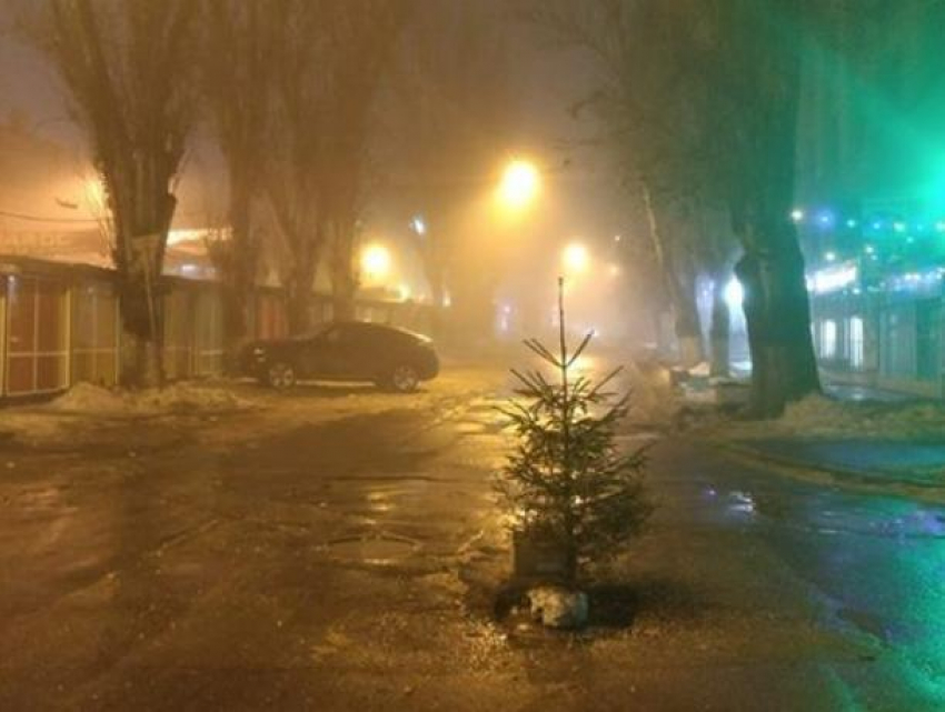 В Кишиневе в дорожной яме «выросла» новая елка