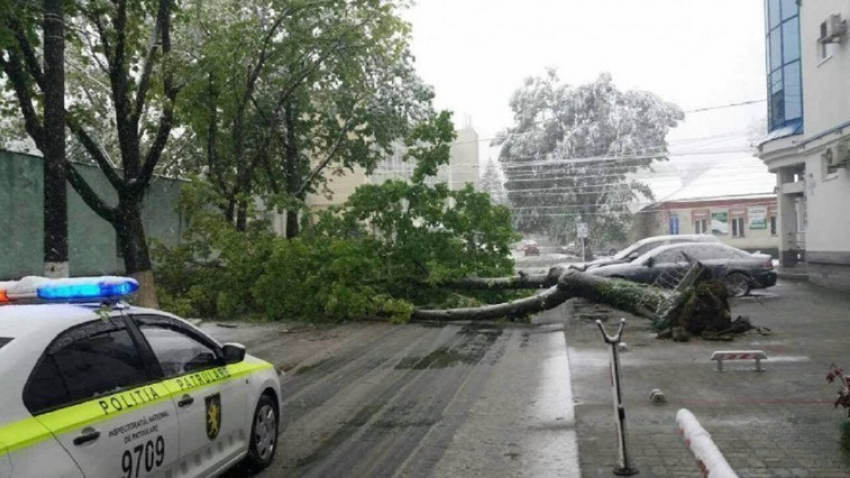 Внимание, водители! В ближайшие два дня в Кишиневе будет затруднено движение