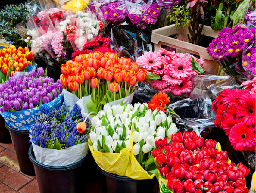 Налоговики взялись за продавцов цветов - объявлены неожиданные проверки
