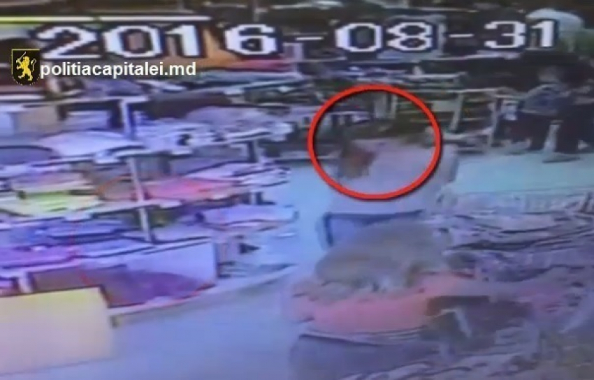 В Кишиневе девушку засняли за кражей смартфона в магазине