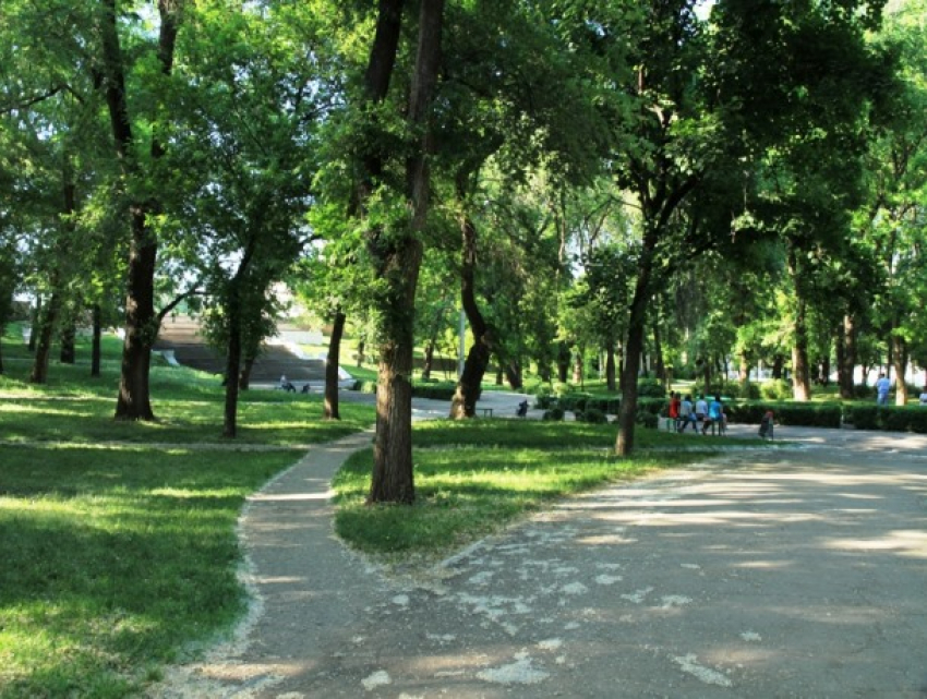 В Бельцах отстояли 200-летний парк