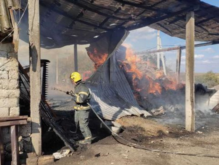 Двух свиней и собаку спасли от огня пожарные на севере Молдовы