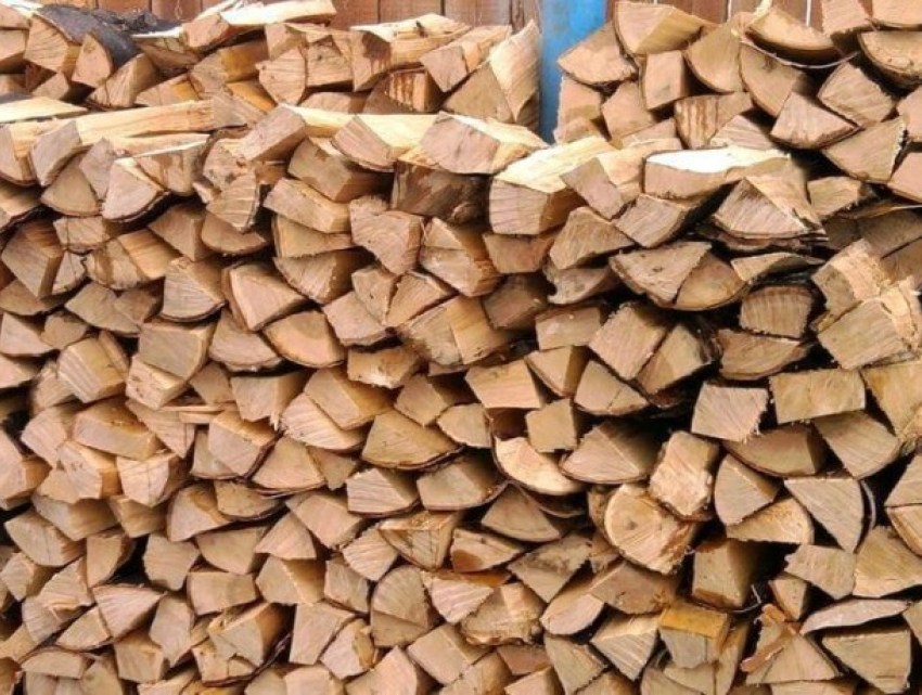 Лесоруб из Каменки незаконно продавал древесину