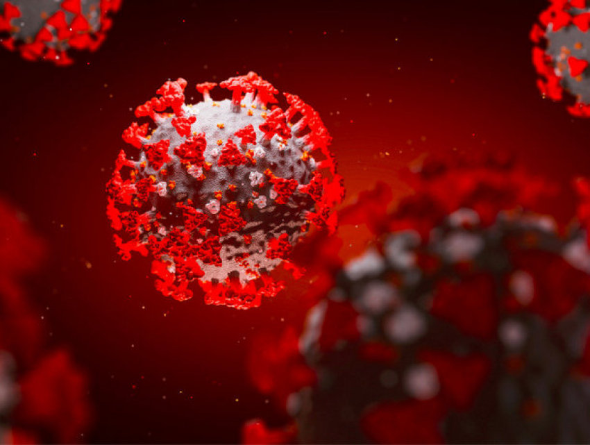 COVID-19 выявили еще у двух молдавских депутатов – оба они из Pro Moldova 
