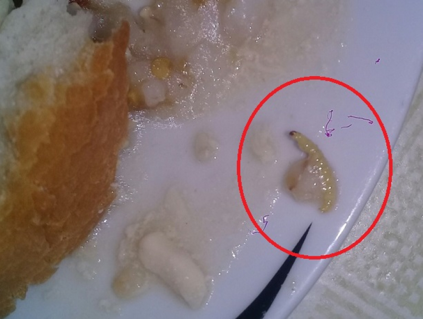 Кашей с огромными гусеницами накормили учащихся профессиональной школы в Бельцах