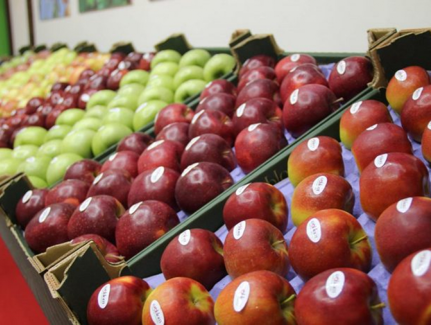 Пока фермеры выкидывают яблоки, в Молдове они продолжают дорожать